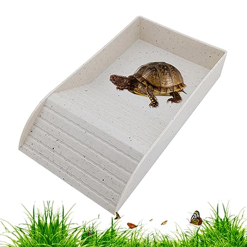 Schildkröten-Futternapf, Reptilien-Wassernapf Für Schildkröten, Rutschfester Futternapf Mit Großer Kapazität, Gehörnte Frösche Und Eidechsen Beim Einweichen Und Spielen