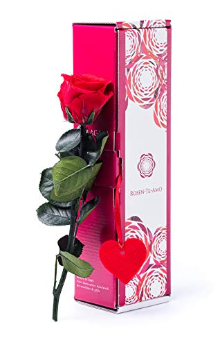 Rosen-Te-Amo | konservierte ewige Rose rot | "Valentine Edition" mit Herz & herunterladbare Grußkarte | feines Design || Muttertag Infinity Rosen | Geburtstagsgeschenk für Frauen Mama Freundin Oma