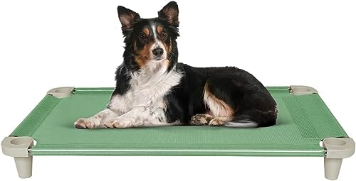 Acrimet Kühlendes erhöhtes Haustierhundebett, waschbarer und atmungsaktiver Netzstoff, Edelstahlrahmen, für den Innen- und Außenbereich geeignet, (Größe: 40" x 24") (Grüne Farbe) (1 Einheit)