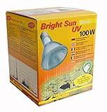 Lucky Reptile Bright Sun UV Desert - 100 W Metalldampflampe für E27 Fassungen - Terrarium Lampe mit Tageslichtspektrum - Wärmelampe mit UVA & UVB Strahlung - UV-Lampe für Wüstenreptilien