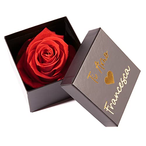 ROSEMARIE SCHULZ Heidelberg 1 rote Infinity Rose konserviert 8,5x8,5 cm haltbar 3 Jahre personalisierbare Rosenbox (Rot, Personalisiert)