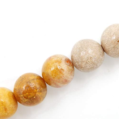 Fukugems Naturstein perlen für schmuckherstellung, verkauft pro Bag 5 Stränge Innen, Coral Fossil 8mm
