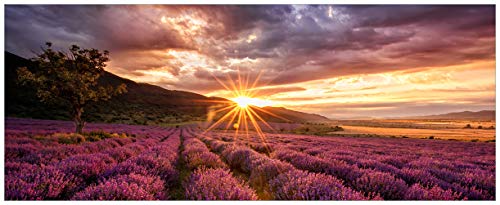 Wallario Glasbild Lavendelfeld bei Sonnenuntergang - Sonnenstrahlen - 50 x 125 cm Wandbilder Glas in Premium-Qualität: Brillante Farben, freischwebende Optik