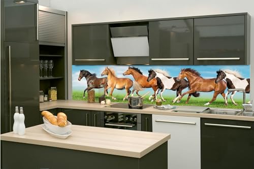 Dimex Küchenrückwand Folie Selbstklebend PFERDEN 260 x 60 cm | Klebefolie - Dekofolie - Spritzschutz für Küche