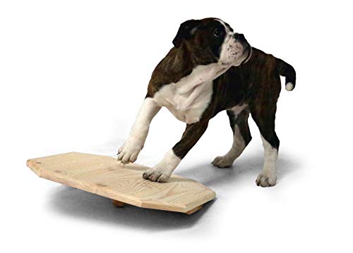 SunnyDogs Holz-Wackelbrett für Welpen ca. L 40 x B 40 x H 10 cm, Hundespielzeug