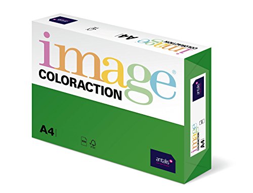 Image Coloraction - farbiges Kopierpapier Dublin/dunkelgrün 160g/m² A4 - Paket zu 250 Blatt