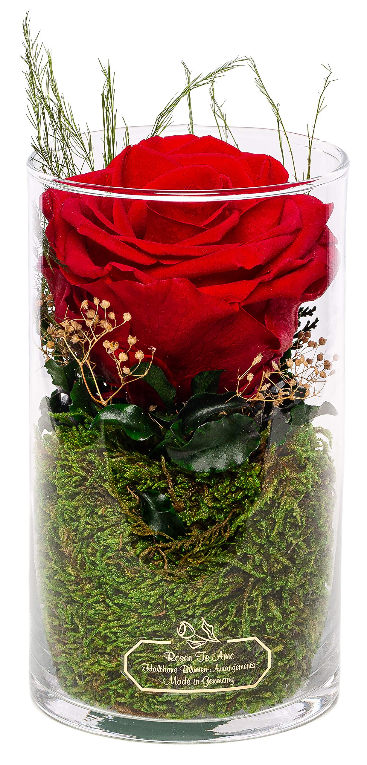 Rosen-Te-Amo | Premium konservierte ewige Rose rot | duftend | handgefertigt Deko-Foliage | feines Design|| Muttertag Infinity Rosen | Geburtstagsgeschenk für Frauen Mama Freundin Oma
