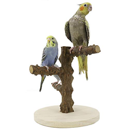 YINGGE Papageien Spielplatz für Vögel, Holz, Sitzstange