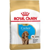 ROYAL CANIN Cocker Junior 3 kg, 1er Pack (1 x 3 kg)