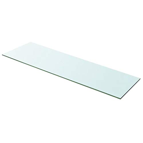 Tidyard Regalboden Glas Transparent 100x30cm Glasboden Einlegeboden Glasablage Glasregal Ersatzteile