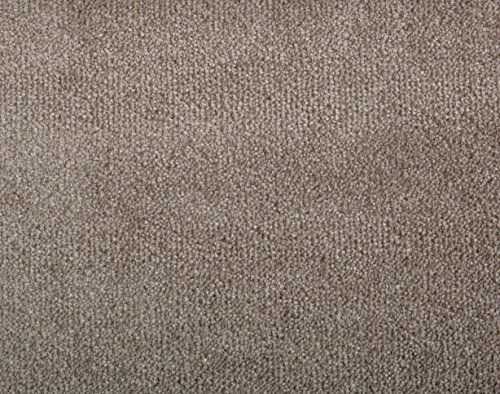 Teppichboden Shaggy Hochflorteppich Bodenbelag Auslegware Uni schlamm 550 x 400 cm. Weitere Farben und Größen verfügbar