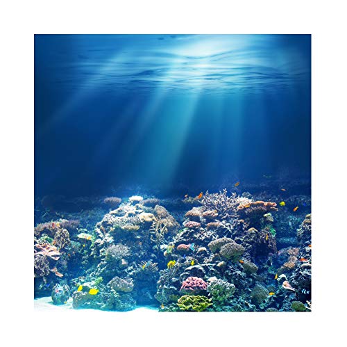 YongFoto 2x2m Vinyl Foto Hintergrund Tiefer Unterwasserhintergrund Sonnenlicht Fische Korallen Aquarium Fotografie Hintergrund Partydekoration Geburtstag Fotoshooting Fotostudio Hintergründe