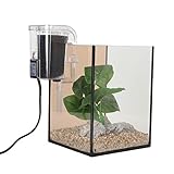 Innovatives, Leises 3-in-1-Starterset für Kleine Aquarien in Schwarz mit LED-Lichtleistungsfilter für das Desktop-Büro (EU-Stecker 220 V)