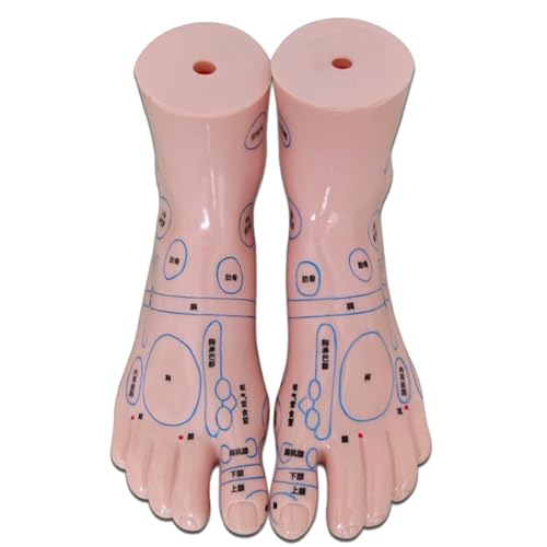 LKYLVEE 1 Paar Fußakupunkturmodell, Massage -Fußmodell, Plantarreflexzonenmassage Meridian Points -Modell für Reflexfußreflexzonenlehre,Flesh,15cm