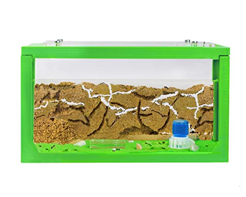 AntHouse - Natürliche Ameisenfarm aus Sand | 3D Starter Kit Grün 20x10x10 cm | Inklusive Ameisen