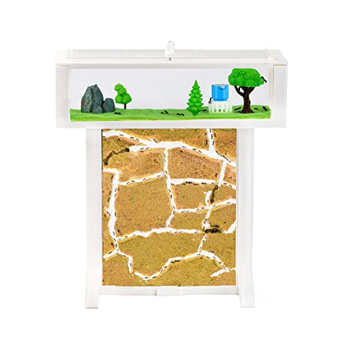 AntHouse - 3D Ameisenfarm aus Sand | Weiß T Kit 15x15x1,5 cm | Inklusive Ameisen