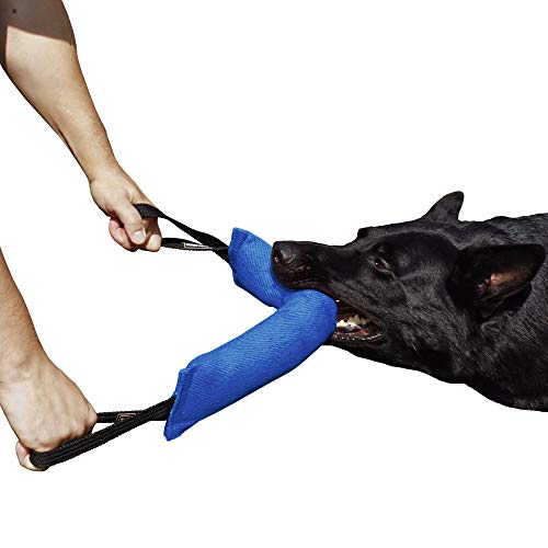 Dingo Gear Baumwolle-Nylon Beißwurst für Hundetraining K9 IGP IPO Obiedence Schutzhund Hundesport, mit Zwei Griffen 8 x 45 cm Blau S00067