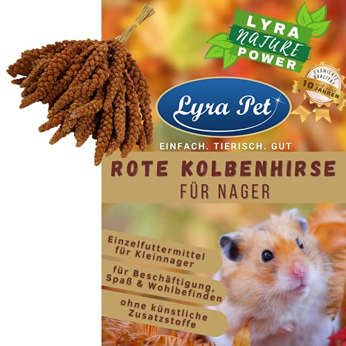 Lyra Pet® 5 kg rote Kolbenhirse für Kleinnager Körnerfutter Nagerfutter Hirse