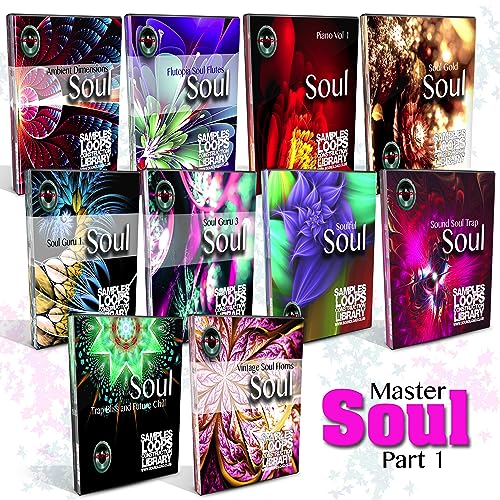 SOUL Master Mega Bundle Teil 1-10 Große Essential Wave Proben/Loop Studio Bibliotheken
