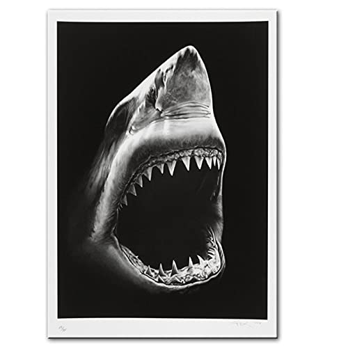 Leinwandbilder Hai Gemälde Tiere Wandkunst Poster Dekorative Bilder Leinwand Kunst Haie für Zuhause Wanddekor 70x90cm Rahmenlos