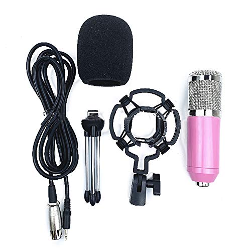 BM800 Mikrofon Set mit Stativ Stativ Stativ Shock Mount und Pop Filterschaum Dual-Layer Akustikfilter Plug & Play Pink
