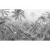 Komar Fototapete Vlies Amazonia Black and White 400 x 250 cm