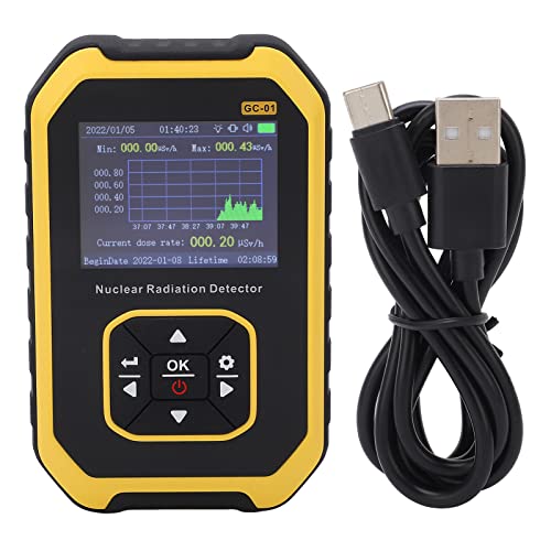 Boxwizard Geigerzähler Radioaktivität Dosimeter Professioneller Nuklearstrahlungsdetektor β γ X Ray Echtzeitüberwachung Digitales Radioaktivitätsmessgerät für Marmorfliesen