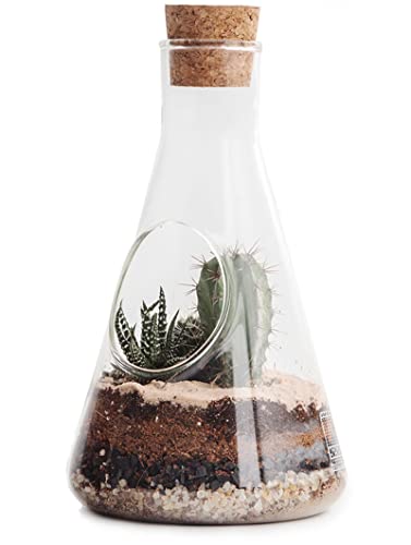 SUCK UK Chemistry Glasterrarium Kit für Pflanzen & Kakteen | Sukkulenten Vase | Flashengarten mit Erde, Sand, Aktivkohle und Kieselsteinen für Pflanzen | Biosphere | DIY Indoor-Garden | Kaktustopf