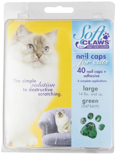 Soft Claws Inc Feline Weiche Klauen Cat Nail Kappen take-Home Kit, groß, grün