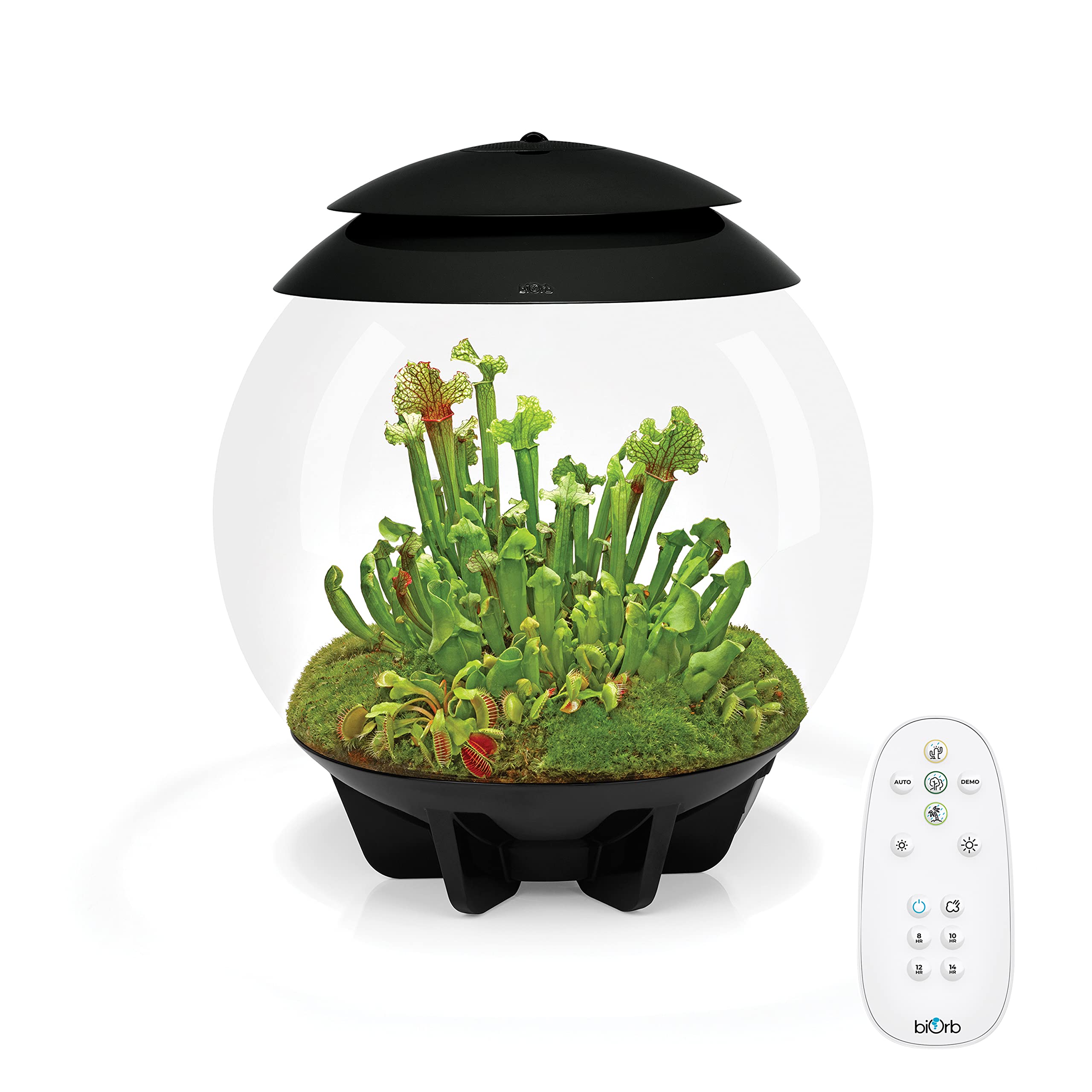 biOrb AIR 30 schwarz - Terrarium mit LED-Beleuchtung / Acryl-Becken zur Pflanzenpflege / für empfindliche, exotische Pflanzen