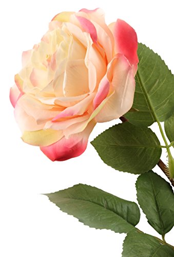Closer 2 nature F059CPL Floral Elegance, Künstliche Rose getupft einzelstiehl 92 cm, cremeweiß/rosa