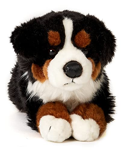 Uni-Toys - Berner Sennenhund, liegend - 35 cm (Länge) - Plüsch-Hund, Haustier - Plüschtier, Kuscheltier