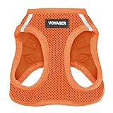 Best Pet Supplies Voyager Step-In Air Hundegeschirr – Allwetter Mesh Step In Weste Geschirr für kleine und mittelgroße Hunde – Orange (passender Rand), XXXS