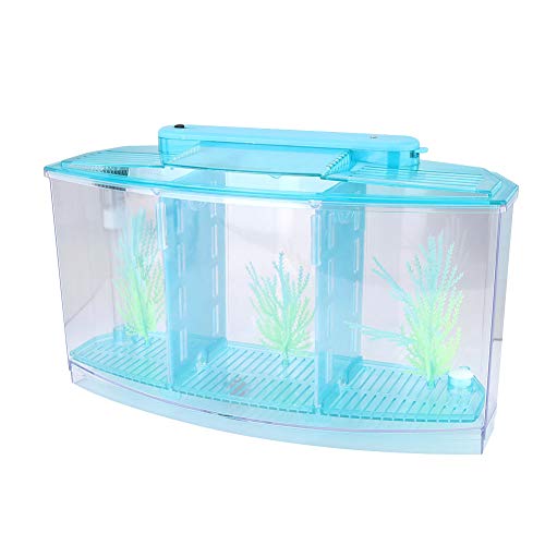 Lantro JS Desktop Breeding Fish Tank, Three Areas Fish Tank, einstellbare Lichtisolierung mit LED-Licht für kleine Fische mit Wasserwechselventil für Betta(Blue)