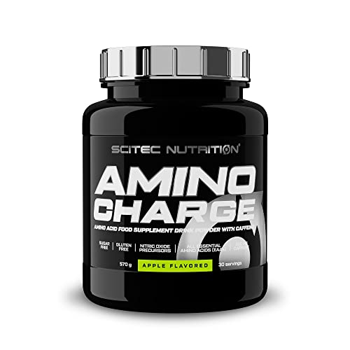 Amino Charge 570g apple