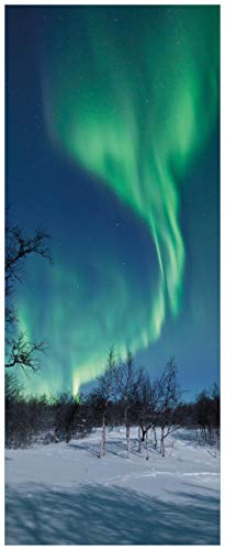 Wallario Glasbild Polarlicht in Schweden - 32 x 80 cm in Premium-Qualität: Brillante Farben, freischwebende Optik
