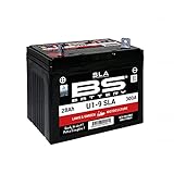 BS-Battery Batterie BS-Battery, SLA, versiegelt, GARDEN Serie, Batterie "U1-9" ETN: 524 450 030