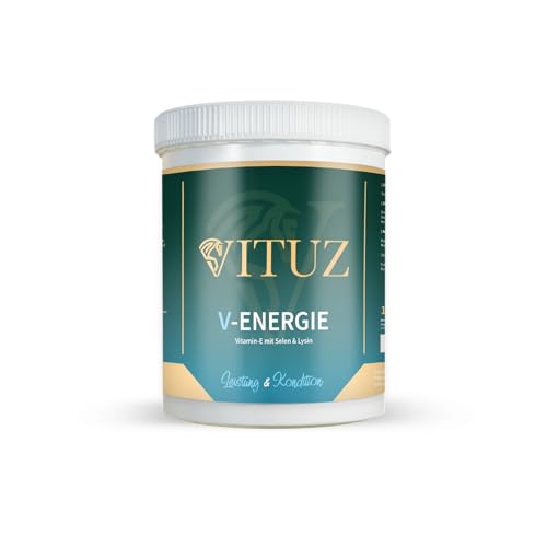 VITUZ V-Energie - Leistungssteigerndes Nahrungsergänzungsmittel mit Vitamin E und Selen zur Förderung von Vitalität, Ausdauer und Zellschutz - 1KG