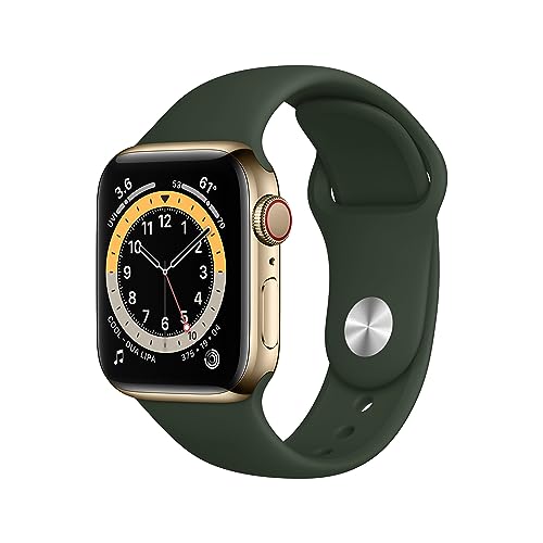 Apple Watch Series 6 (GPS + Cellular, 40 mm) Edelstahlgehäuse Gold, Sportarmband Zyperngrün