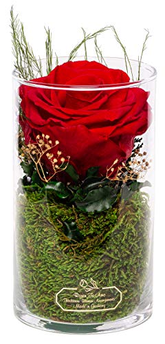 Rosen-Te-Amo 1 konservierte Premium rote Rose in der Vase mit echten Bindegrün; Haltbare Rose im Glas: langlebige Weihnachten Deko 3 Jahre haltbar ohne Wasser
