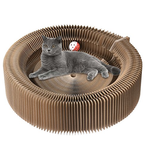 Gorgebuy Katze Kratzen Platte aus Pappe - Katze Scratcher Haus Spielzeug Akkordeon Katzen Nest mit Katzenminze