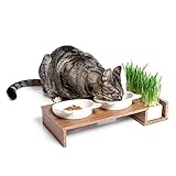 CanadianCat Company | Katzennapf erhöht, Futternapf Katze Cat Diner mit DREI Keramik Näpfen, Ø14,5 cm Fressnapf, Futterschale, Futterstation in Walnuss-Optik