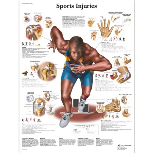 3B Scientific VR1188L Anatomie des Menschen – Schaubild der Sportverletzungen, laminierte Version