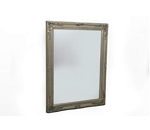 SIL Wandspiegel – Champagner verzierter Spiegel – 62 cm x 42 cm