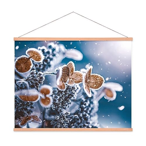 Arcondo Stoffbild Kakemono mit Posterleisten Welke Hortensie im Schnee 77 x 77 cm