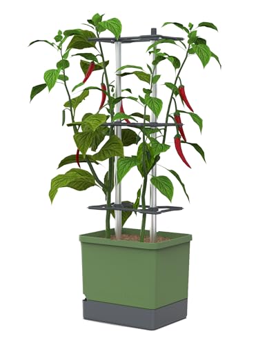 GUSTA GARDEN Charly Chili Chilitopf - Pflanzentopf mit Rankhilfe, Bewässerungssystem & Robustem Rahmen (Dunkelgrün, XL)