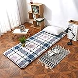 HIGHKAS ChineseTatami Floor Mat, Foldable Mattress Not-Slip Quilted Futon Collapsible Guest Bed Mat Single Dormitory Bed Pad-b 120x200cm(47x79inch)