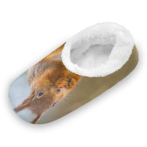 YOUJUNER Damen Memory Foam Hausschuhe Tier Eichhörnchen Geschlossene Rückseite Hausschuhe für Frauen Warme Hausschuhe Bequeme Schlafzimmer Schuhe, mehrfarbig, 37/38 EU