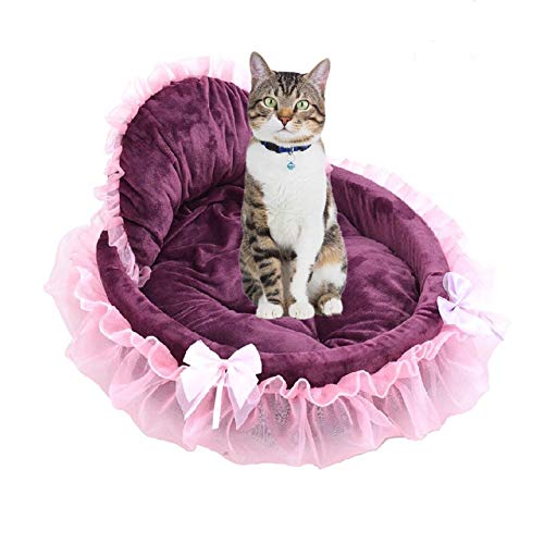 PLUS PO hundebetten für mittlere Hunde katzenbett Flauschiges Katzenbett Flauschiges Hundebett Prinzessin Haustierbett Kleines Katzenbett 1