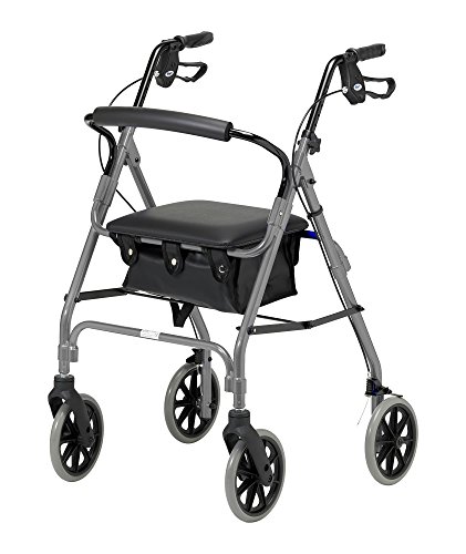 Days Lightweight Folding Four Wheel Rollator Walker with Padded Seat, Lockable Brakes, Ergonomic Handles, and Carry Bag, Mobility Aids, Large, Quartz